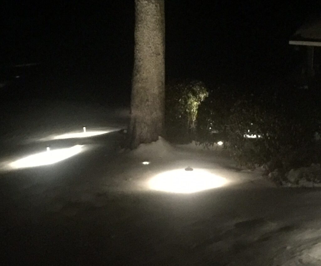 LED Landscape Lighting and Snow Outdoor Lighting Expressions